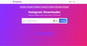 FastDl App: Best Instagram Photos Videos Downloader 2025